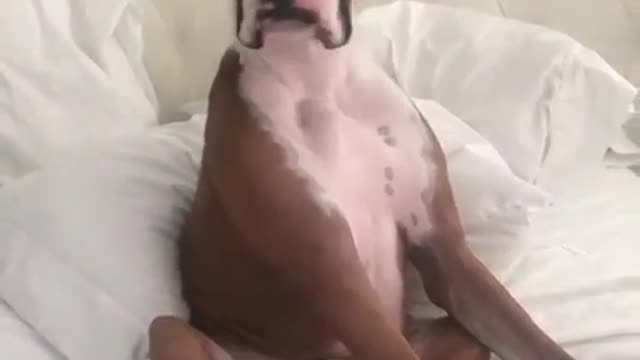 Too much concentration