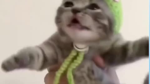 10 minute of Best Cute Pets And Funny Animals Compilation