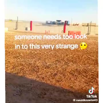 EVERYTHING IS A DISTRACTION