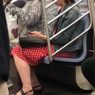 Woman inside a grey squirrel costume on train
