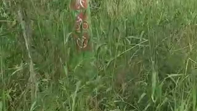 Denuncia parque El Macho