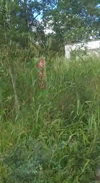 Denuncia parque El Macho