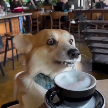 This Latte is soooooo gooooddddd 🤣