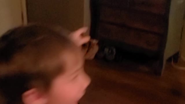 Video game creators misspelled lose!!