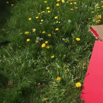 We are taking action to warn the public to warn you about the dangers of 5G