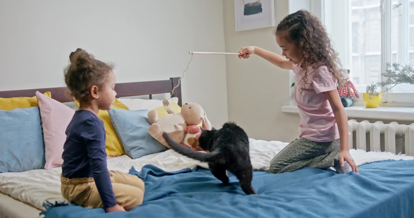 Little Cute Girls Play With Black Cat