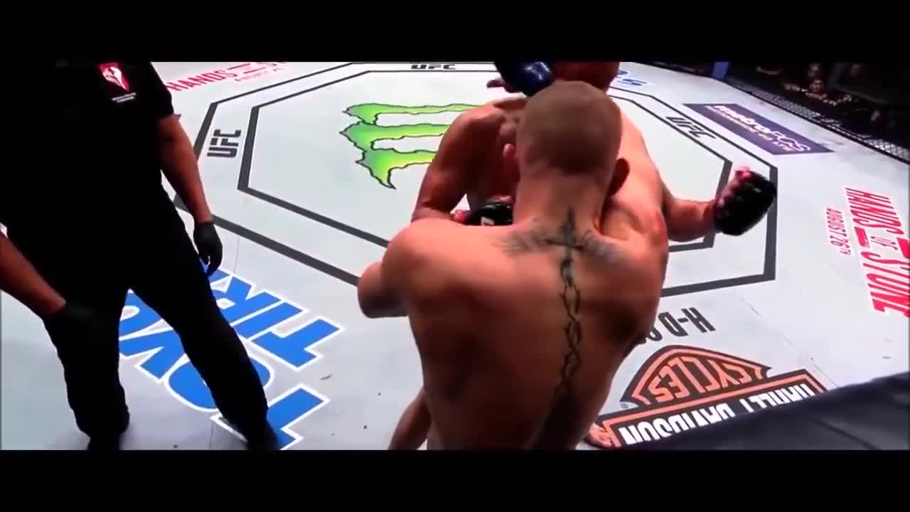 Conor McGregor vs Nate Diaz 2-Free Fight