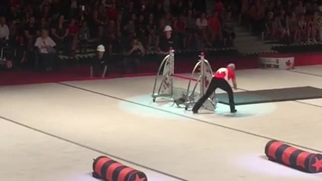 Talentoso cachorro en un show de perros domina una pista de obstáculos