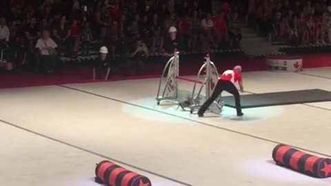 Talentoso cachorro en un show de perros domina una pista de obstáculos