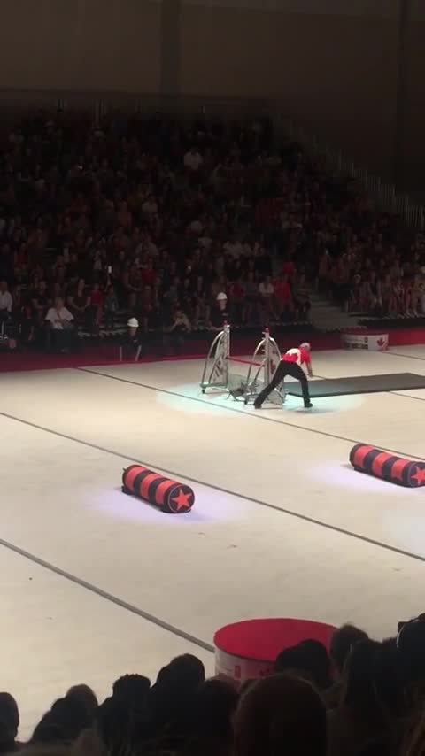 Talentoso cachorro en un show de perros domina una pista de obstáculos