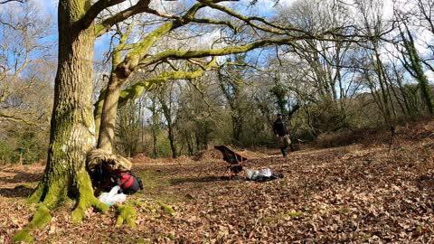 Spending time at an ironage fort. New flrest. Speedlapse. GoPro