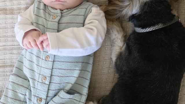 Dog lying with baby in bed