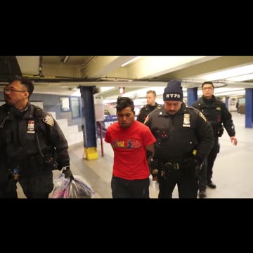 Illegal arrested for setting sleeping NYC subway rider on fire, watching her burn to death