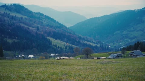 Beautiful landscape of mountains with lambs in autumn cloudy day