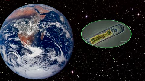 Deep dive into the universe(for Kids)