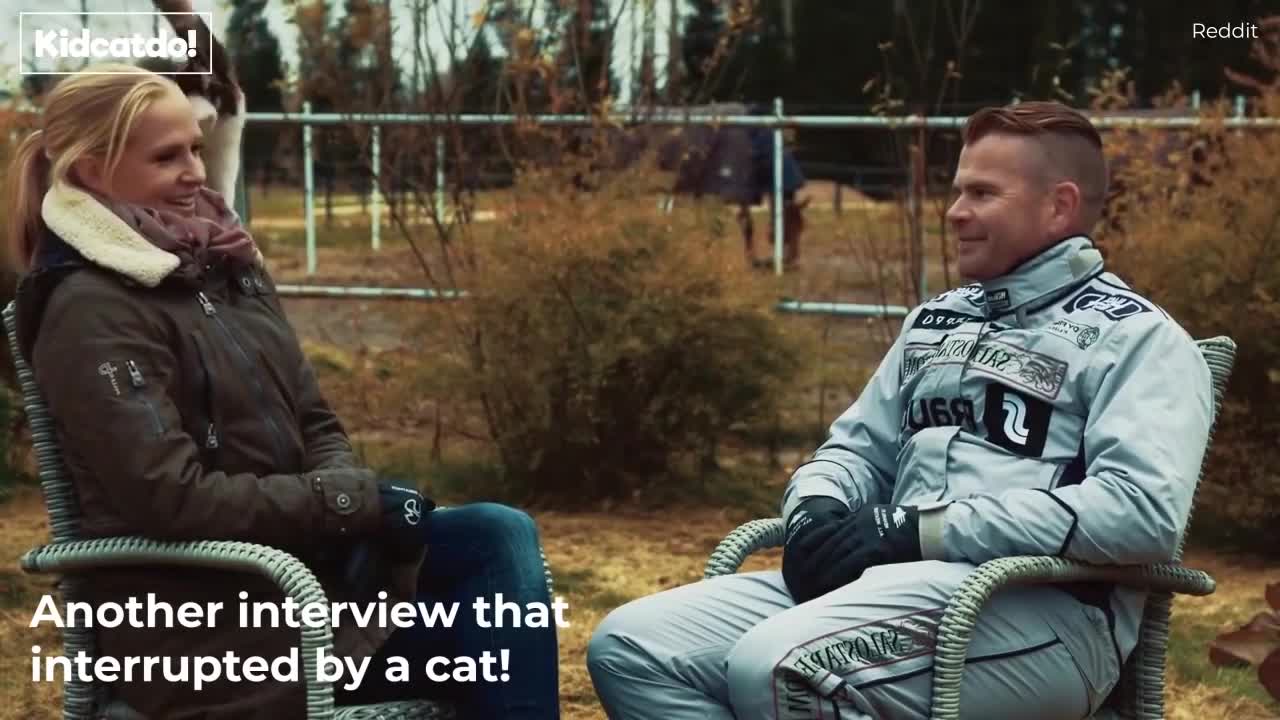 Funny Cat Interrupts Interviews