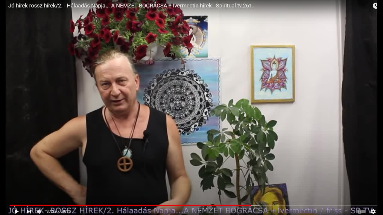 Ne legyél növényeket lefejelő NPC