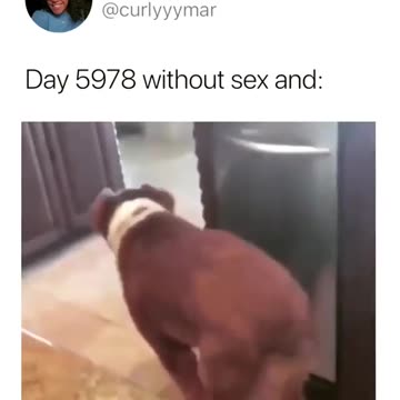 Pretty much sums up my life.