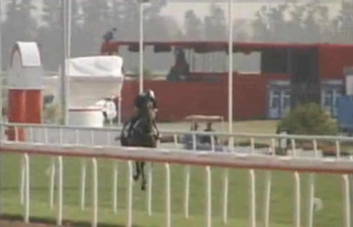 서울경마 , 서울경마일정 , SUNMA.ME 일요경마