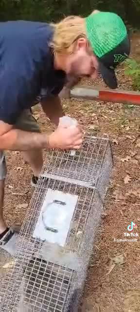 Relocating Racoons