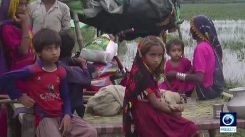 Families in Pakistan seek refuge from monsoon floods