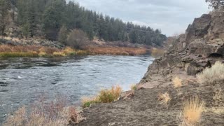 Central Oregon – Steelhead Falls – Further Down River