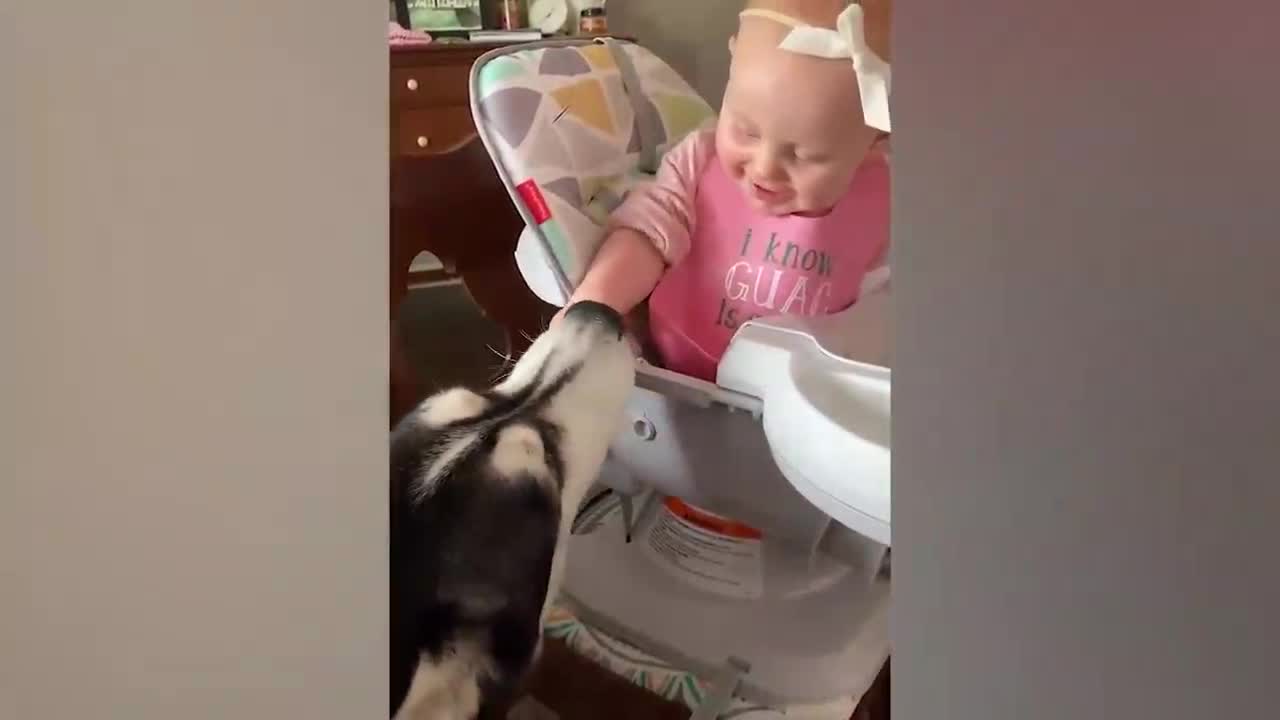 Doggie and baby are best friends!!!!!