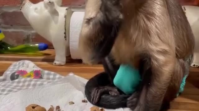 Nuts