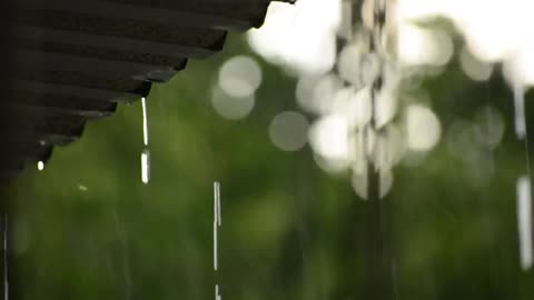 ⛆ Relax with the Sounds of Rain Dropping on a Zinc Roof ⛆