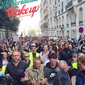 Freedom Rallies from around the world