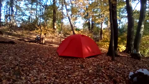 Friday morning in the beautiful Gospel Woods