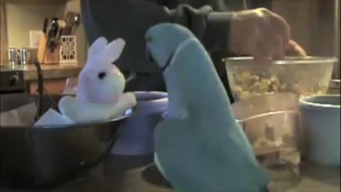 Marnie loves new bunny