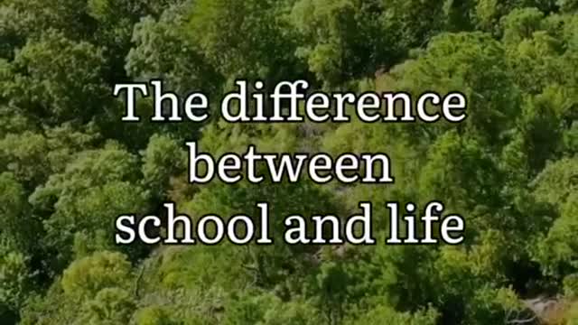 Difference between school and life