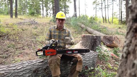 Testing The Cheapest Chainsaw On AMAZON