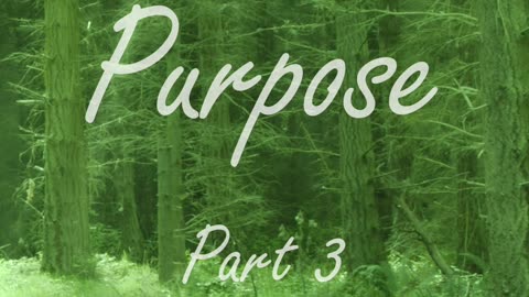 Our Purpose - part 3