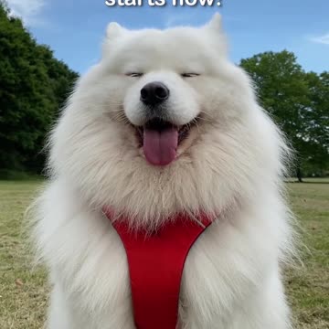 Cutest surprise ever 🥹❤️