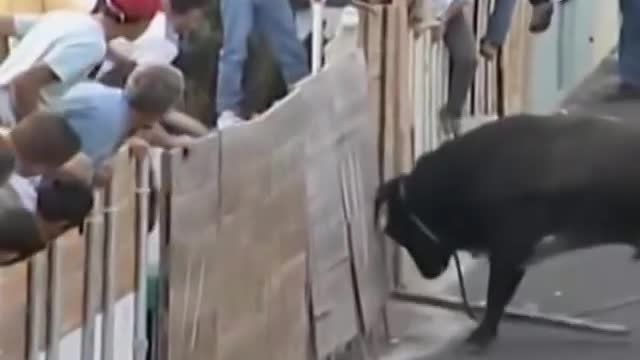 The angry bull? Hard people on the streets