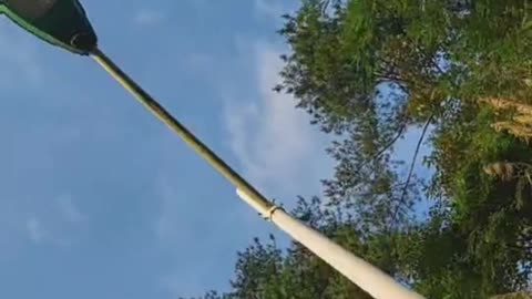 Rotate to enjoy the white cloud tree with street lights