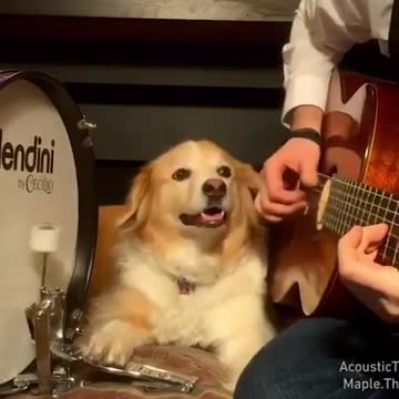 Sound speaker ON. Now he is one of the