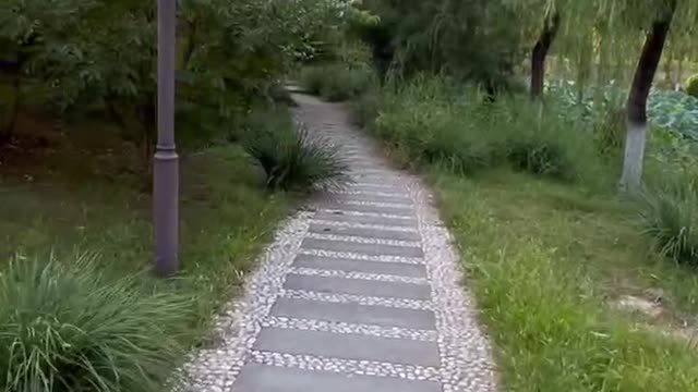 It's a nice path in the park