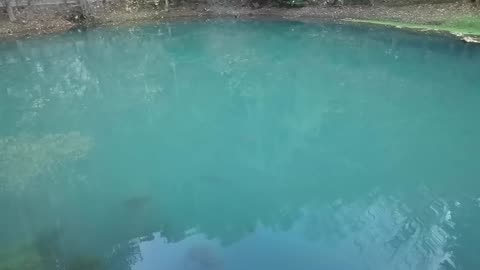 source of the river Mlava, Homolje mountain, Serbia, Municipality of Zagubica