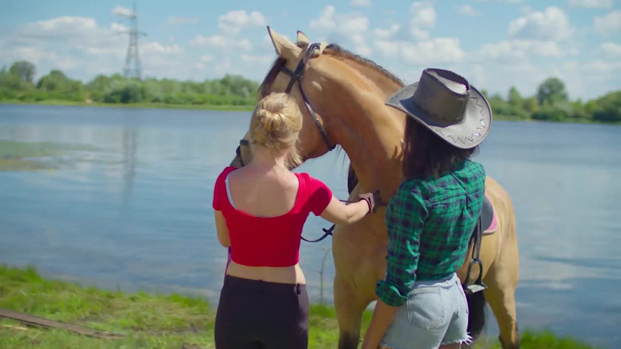 Attractive african american woman in cowboy hat petting beautiful horse in summer nature