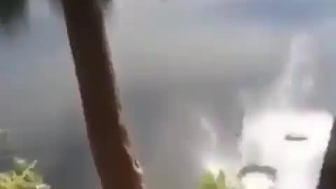 Tree Swing Miscalculation