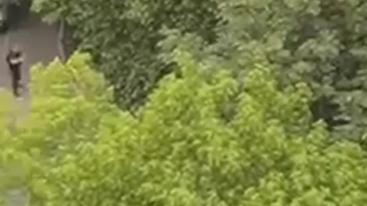 ⚡️Moscow shooter neutralized - reports