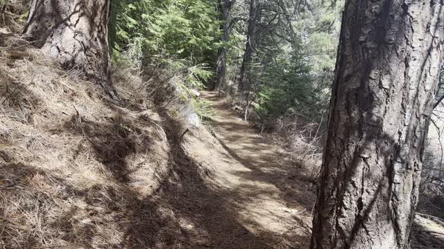 River-Forest Wilderness Adventuring – Deschutes River – Central Oregon – 4K