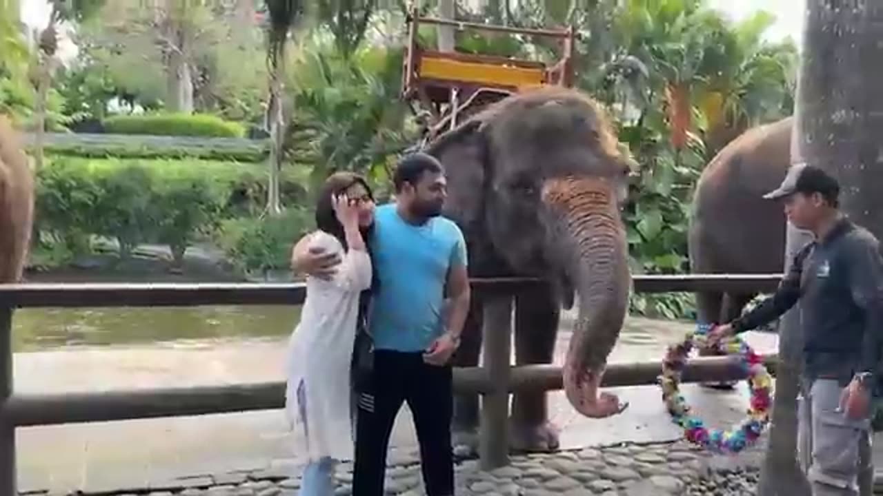 5million subscribers kaisy huway ? 😍🤔. DUCKY BHAI