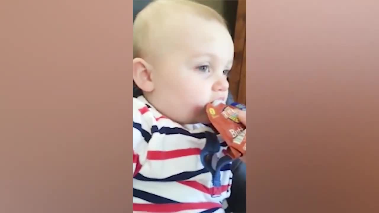 Totally cute baby videos compilation