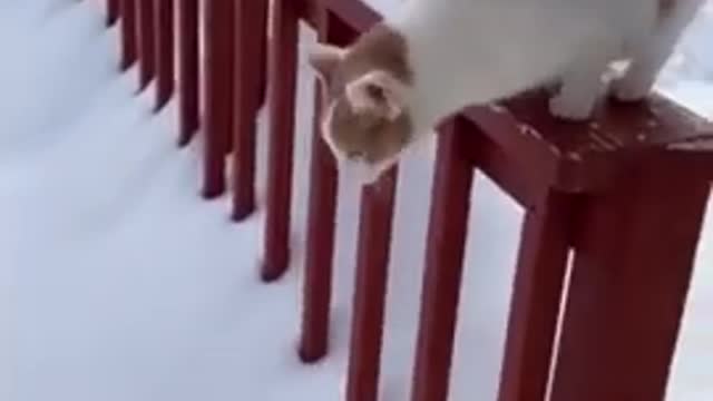 I only do one times, watch carefully!!