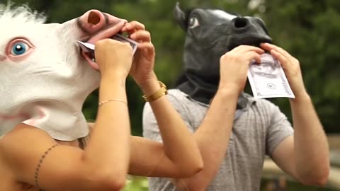 Funny video we try to make donkey