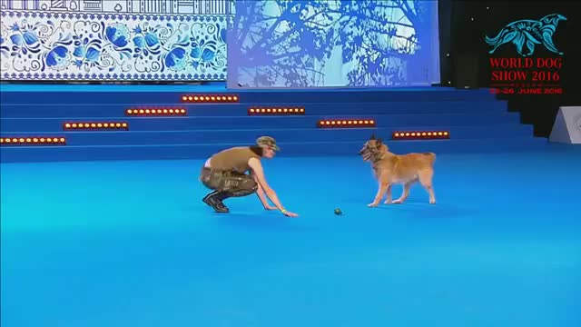 DOG! TALENTED Câinele care a uimit toata sala | Romania's Got Talent